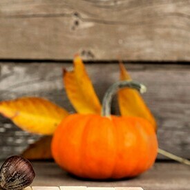 Fundraising Page: Eddie Solari